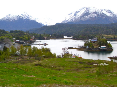 Halibut Cove