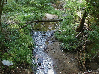 Cow Yard Brook