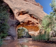 Coyote Gulch