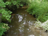 Cross Brook