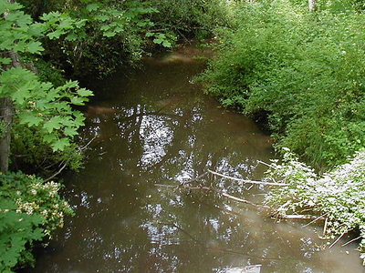 Cross Brook