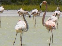 Jaragua National Park Jaragua National Park