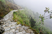 Camino Inca 0