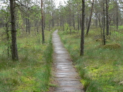 Dzūkija National Park