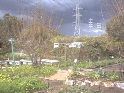 CERES Community Environment Park