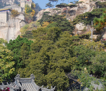 Yiwulü Mountain