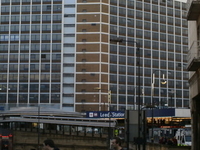City House City House