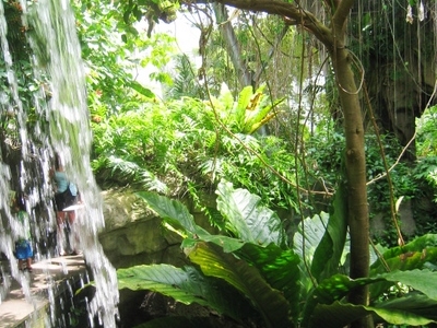 Cleveland Botanical Garden