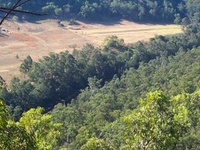 Wollemi National Park