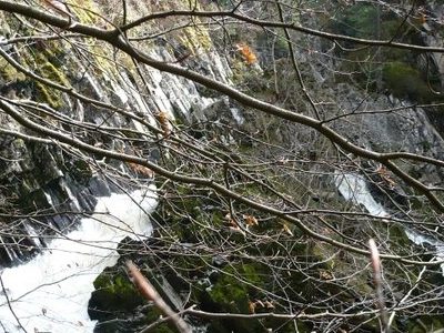 Conwy Falls