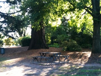 Cook Park