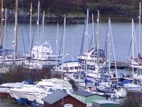 Craobh Haven