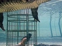 Cango Wildlife Ranch