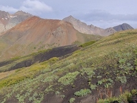 Lizard Head Wilderness