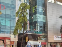 Crossroads Mall