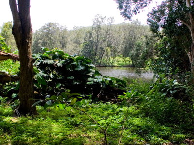 Currumbin Wildlife Sanctuary