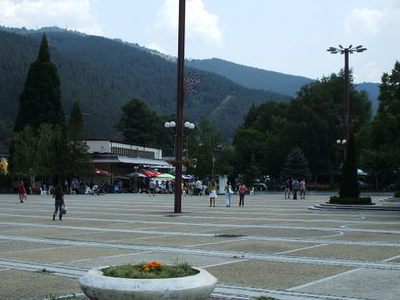 Svoge