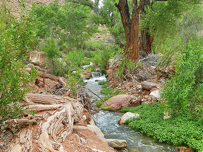 Deer Creek