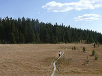 DeLacy Creek Trail