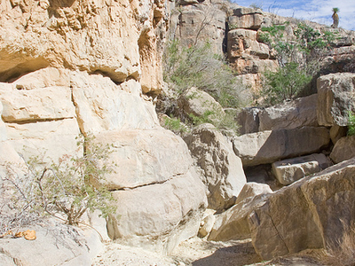 Devil's Den Trail