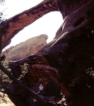 Devils Garden Primitive Loop Trail