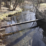 Diamond Brook Diamond Brook