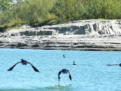 Dibru-Saikhowa National Park