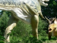 Dinosaurs' Park