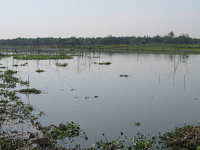 Deepor Beel Bird Sanctuary