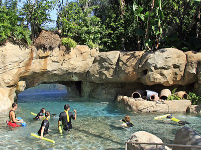 Discovery Cove
