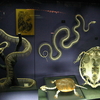 Display On The Skeletal Structure