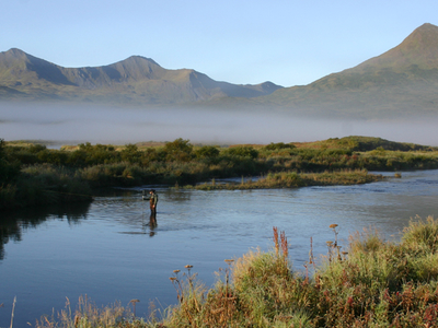 Dog Salmon River
