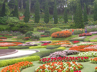 Doi Tung