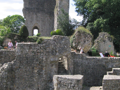 Chateau de Domfront