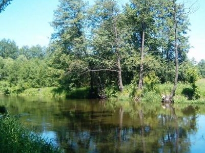Drweca River