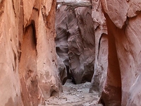 Canyons of the Escalante