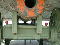 Jaivana Cannon Jaivana Cannon