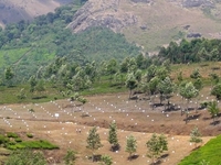 Devikulam Devikulam