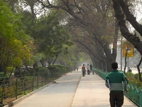 Footpath Shaded With Tree Line Footpath Shaded With Tree Line