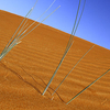 Dubai Desert