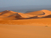 Algerian Desert