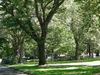 Denny Park