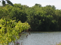 Desjardins Canal