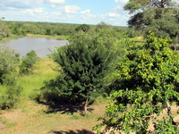 Djuma Game Reserve Djuma Game Reserve