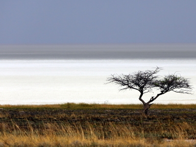 Etosha pan