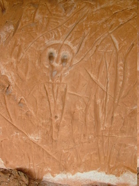 Representative Of Owls Found In Bighorns Representative Of Owls Found In Bighorns