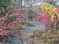 East Aspetuck River