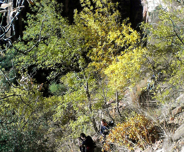 East Rim Trail East Rim Trail