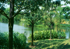 Eco-Lake Eco-Lake
