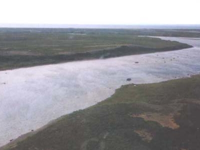 King Salmon River